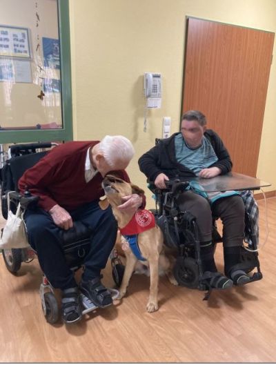 Besuch vom Therapiehund Anton – Bild 1